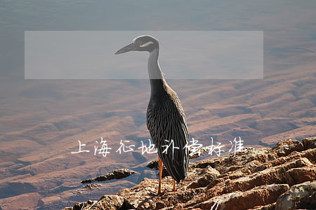 上海征地补偿标准