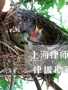 上海律师为什么有的愿意做法律援助律师(法律援助律师真心帮忙吗)