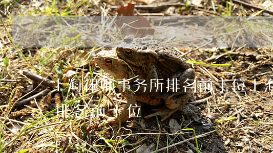 上海律师事务所排名前十位(上海律师事务所排名前十位) 上海律师事务所排名前十位(上海律师事务所排名前十位)