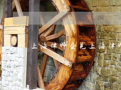 上海律师会见(上海律师会见预约平台)