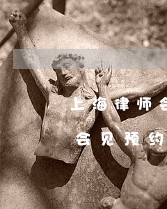 上海律师会见预约平台登录入口(上海市律师会见预约平台)