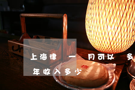 上海律師一個月可以賺多少錢(上海律師做5年收入多少)