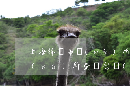 上海律師事務(wù)所大全(上海律師事務(wù)所查詢官網(wǎng))