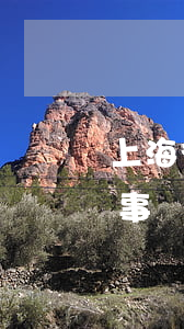 上海律師事務(wù)所收入排名(上海律師事務(wù)所排名前十名)