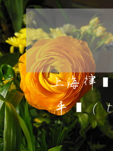 上海律師信息平臺(tái)(上海律師信息平臺(tái))