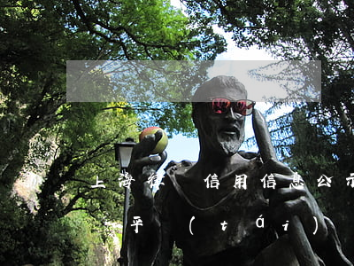 上海律師信用信息公示(上海律師信息信用查詢平臺(tái))