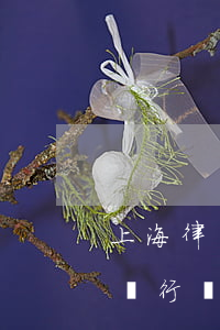 上海律師信用信息服務(wù)平臺(上海律師行業(yè)信用信息服務(wù)平臺)
