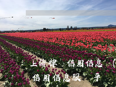 上海律師信用信息網(wǎng)(上海律師信用信息服務平臺)
