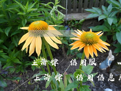 上海律師信用服務(wù)平臺(tái)(上海律師信用信息系統(tǒng)平臺(tái))