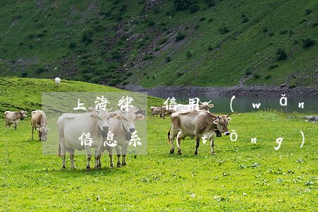 上海律師信用網(wǎng)(上海律師信用信息系統(tǒng)平臺)