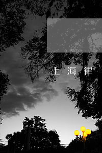 上海律師做5年收入多少(上海做律師賺錢嗎)