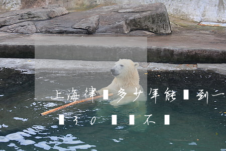 上海律師多少年能掙到一千萬(上海律師收入過30萬難不難)