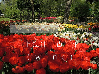 上海律師查詢平臺(上海律師事務所查詢官網(wǎng))