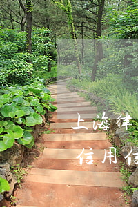 上海律師管理平臺(上海市律師行業(yè)信用信息服務(wù)平臺)