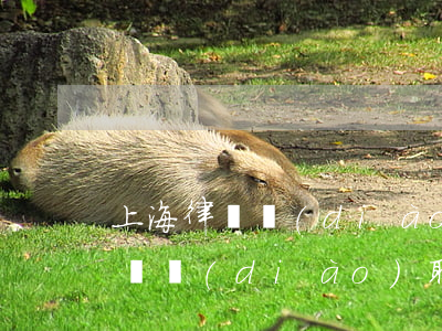 上海律師調(diào)口卡多少錢(上海律師調(diào)取口卡方法)