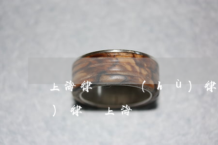 上海律師辯護(hù)律師(刑事辯護(hù)律師上海)