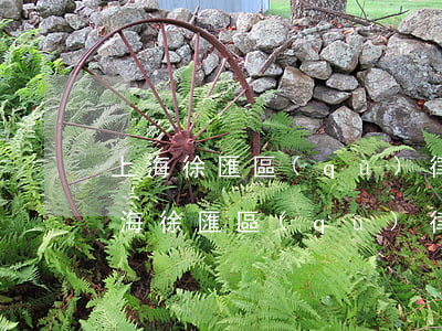 上海徐匯區(qū)律師事務(wù)所(上海徐匯區(qū)律師事務(wù)所排名教育方面的官)