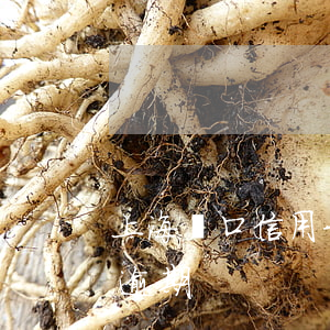 上海戶口信用卡有逾期貸款-征信上信用卡逾期