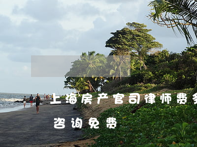 上海房产官司律师费多少(上海房产纠纷律师咨询免费)