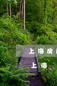 上海房屋動(dòng)遷知青政策(知青在上海動(dòng)遷時(shí)有額外補(bǔ)償嗎)