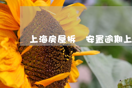 上海房屋拆遷安置逾期(上海近期拆遷)