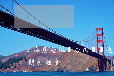 上海房屋租賃合同糾紛逾期利息(房屋租賃逾期交租金)