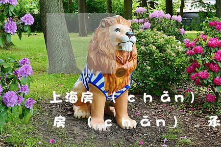 上海房產(chǎn)繼承稅費是多少(上海房產(chǎn)繼承稅費是多少)