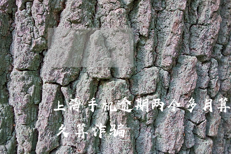 上海手机逾期两个多月算诈骗罪吗-逾期多久算诈骗