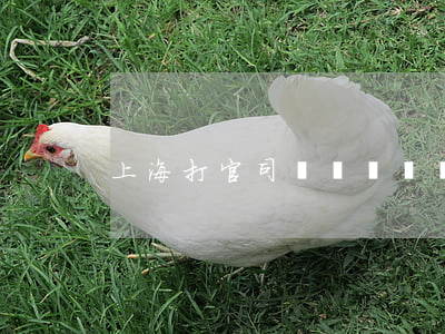 上海打官司繳納訴訟費可以刷卡嗎