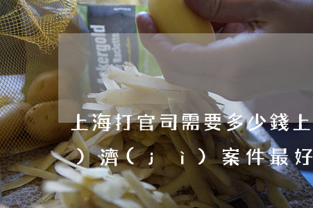 上海打官司需要多少錢(上海打經(jīng)濟(jì)案件最好的律師)