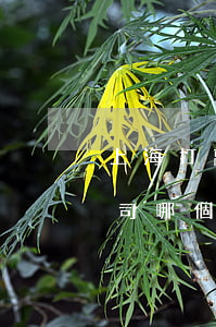 上海打離婚官司的律師哪個好(上海打離婚官司哪個律師厲害)