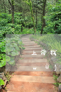 上海找債務(wù)官司律師(上海找債務(wù)官司律師費多少)