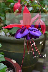 上海找能力強的債務(wù)追償律師推薦-上海追債律師收費標(biāo)準(zhǔn)