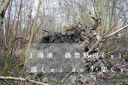 上海承兌匯票貼現(xiàn)(承兌匯票貼現(xiàn)業(yè)務(wù))