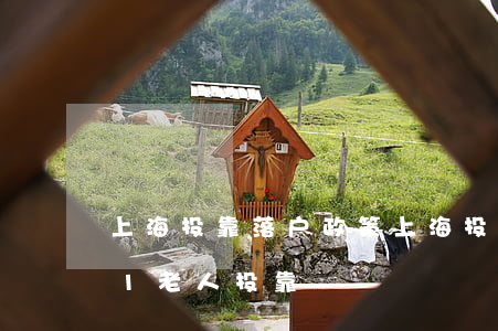 上海投靠落户政策(上海投靠落户政策2021老人投靠)