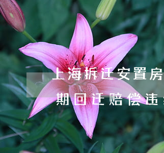 上海拆迁安置房违约逾期的赔偿(安置拆迁逾期回迁赔偿违约金)