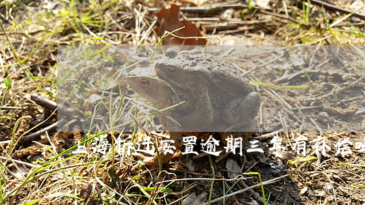 上海拆迁安置逾期三年有补偿吗