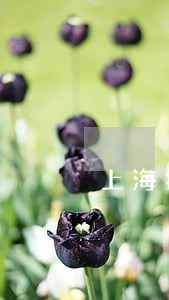 上海拆遷安置逾期怎么處理 上海拆遷通知
