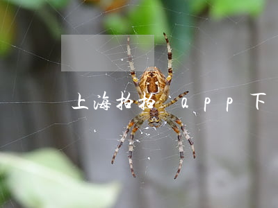 上海拍拍貸app下載我要還款-
