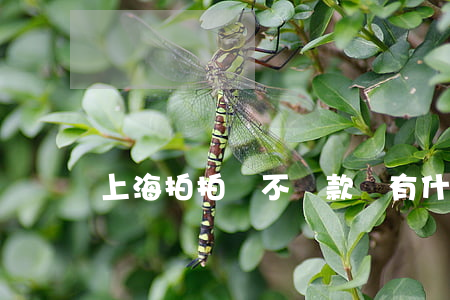 上海拍拍貸不還款會有什么后果-