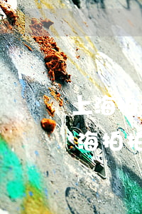 上海拍拍貸借款逾期一萬(wàn)多年（上海拍拍貸借款逾期一萬(wàn)）