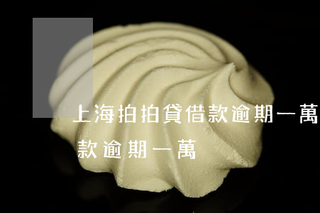 上海拍拍貸借款逾期一萬多年（上海拍拍貸借款逾期一萬）