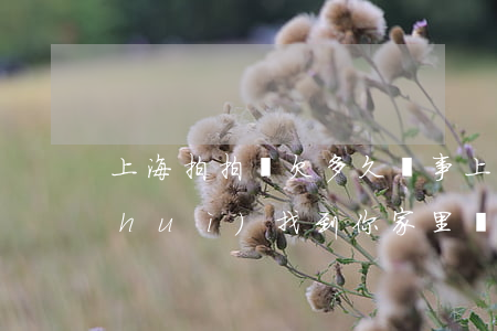 上海拍拍貸欠多久沒事(上海拍拍貸不還會(huì)找到你家里來嗎)