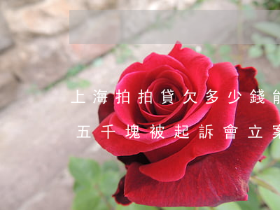 上海拍拍貸欠多少錢能被起訴(欠上海拍拍貸五千塊被起訴 會立案嗎)