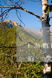 上海拍拍貸欠款1200逾期兩年-上海拍拍貸欠款1200逾期兩年會怎么樣