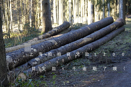 上海拍拍貸欠款1200逾期兩年(上海拍拍貸欠款1千,逾期了,現(xiàn)在起訴我,是真是假)