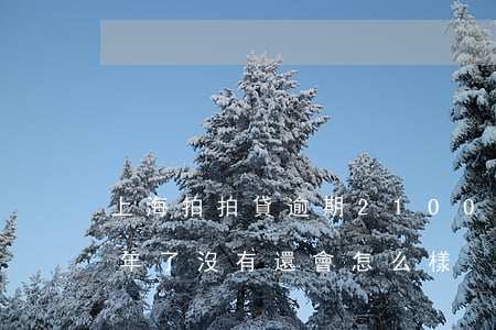 上海拍拍貸逾期2100(上海拍拍貸逾期3年了 沒有還會怎么樣)