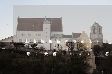 上海拍拍貸逾期三個(gè)月后(拍拍貸逾期2天會(huì)怎么樣?拍拍貸逾期后果介紹)