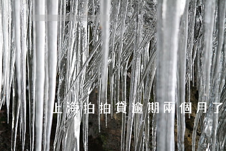 上海拍拍貸逾期兩個月了怎么辦-