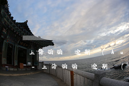 上海拍拍貸逾期會(huì)造成什么后果-上海拍拍貸逾期會(huì)造成什么后果